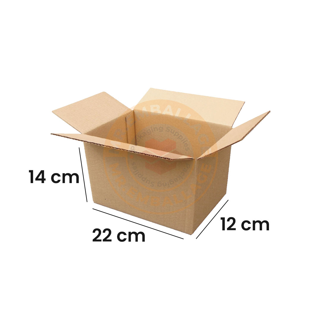caisse-carton-22x12x14cm
